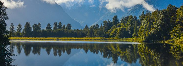 education in Newzealand